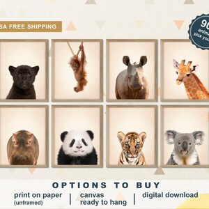 May include: A set of 8 printable animal illustrations, featuring a black panther, orangutan, rhinoceros, giraffe, hippopotamus, panda, tiger, and koala. The illustrations are available as prints, canvas prints, or digital downloads. The text "90+ animals pick yours!" is in the top right corner of the image. The text "OPTIONS TO BUY" is in the bottom center of the image. The text "print on paper (unframed) | canvas ready to hang | digital download" is below the text "OPTIONS TO BUY". The text "price is for 8 art - choose from charts" is below the text "print on paper (unframed) | canvas ready to hang | digital download". The text "ETSY.COM/SHOP/SPLANODESIGN" is below the text "price is for 8 art - choose from charts". The text "slide to see more options" is in the bottom right corner of the image.