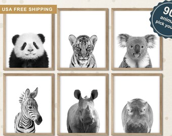 Black and White Animal Nursery Prints: Safari Animals, Koala, Panda (Set of 6)