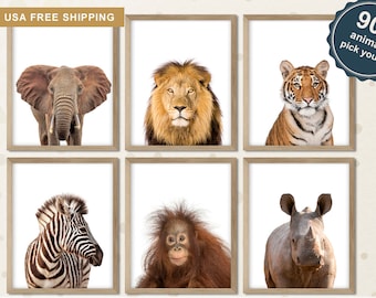 African Animals Prints, Safari Animals Modern Home Decor, Zoo Animals Nursery Decor, Animal Prints for Kids Room, Safari Animals Canvas