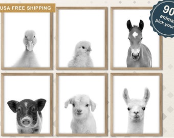 Black and white Farm Animals for Nursery, Barnyard Animal Art Prints, Farmhouse Baby Nursery, Farm Animals for Baby, Baby Farm Animal Photos