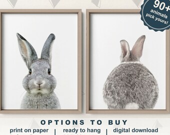 Bunny Nursery Decor: Rabbit Prints, Woodland Animal Art (Set of 2)