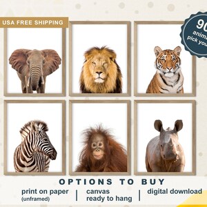 May include: Six framed animal art prints featuring an elephant, lion, tiger, zebra, orangutan, and rhinoceros. The prints are in neutral-toned wooden frames, with a white background. Text on the image says "90+ animals pick yours!"