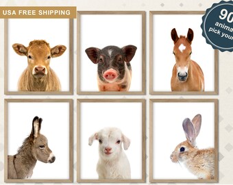 Farm Animal Prints, Peekaboo Nursery Decor (Set of 6)