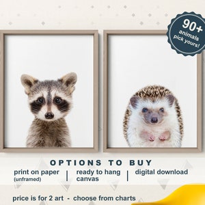 Woodland Nursery Animal Prints Set of 2, Baby Raccoon, Baby Hedgehog, Forest Friends Decor, Woodland Animals Heads Nursery, Animal Kid Decor