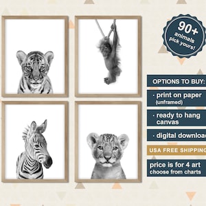 May include: Set of four black and white animal prints featuring a tiger, monkey, zebra, and lion cub. The prints are available as digital downloads, ready to hang canvas prints, or unframed paper prints. 90+ animals to choose from.