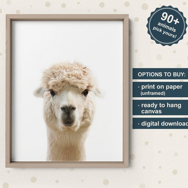 Llama Wall Art Print, Llama Photography, Llama Nursery Art Minimalist, Llama Baby Room Decor, Animal Kids Decor, Animal Art Nursery, Alpaca