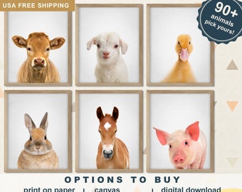 Farm Animal Nursery Prints, Baby Room Decor (Set of 6)