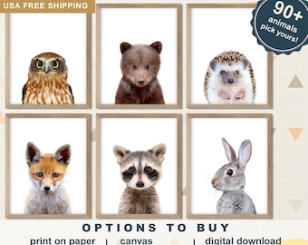 Woodland Animal Prints for Nursery Set of 6, Cute Baby Decor, Forest Friends on Paper or Canvas Wrap