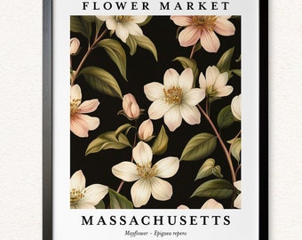 Massachusetts Mayflower Art Print: Modern Floral Wall Decor
