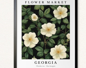 Georgia Cherokee Rose Flower Market Print: Contemporary Floral Art