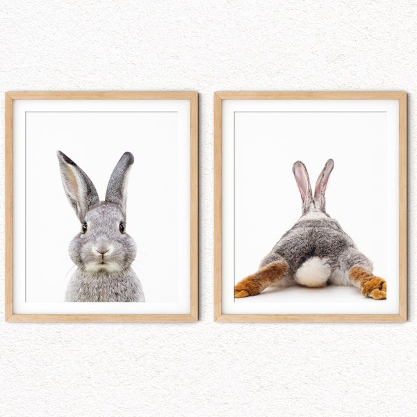 Bunny Decor for Nursery, Rabbit and Bunny Butt Print on Paper or Canvas, Bunny Artwork for Kids Room, Woodland Bunny Photo