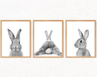Baby Bunny Prints Set: Woodland Nursery Wall Art
