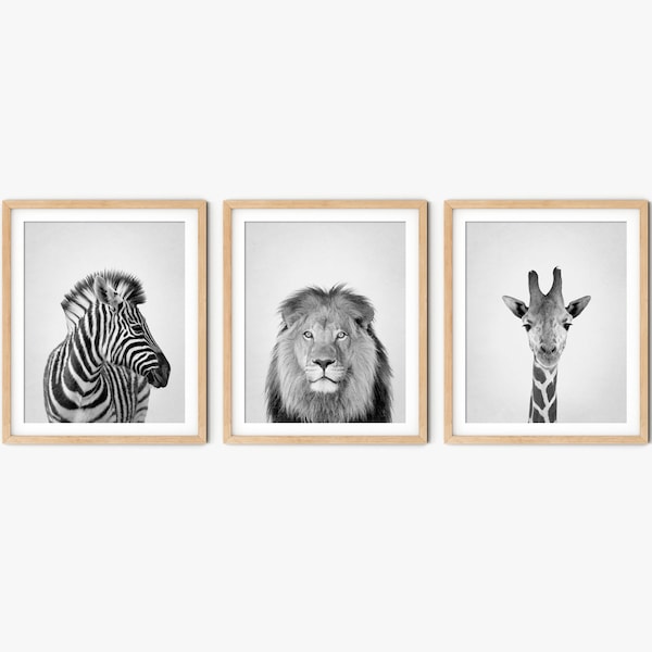 Safari Animal Prints for Nursery or Living Room Decor, Jungle Bedroom Decor, Black and White Zebra Lion Giraffe, Safari Animal Canvas
