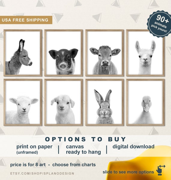 baby farm animal prints