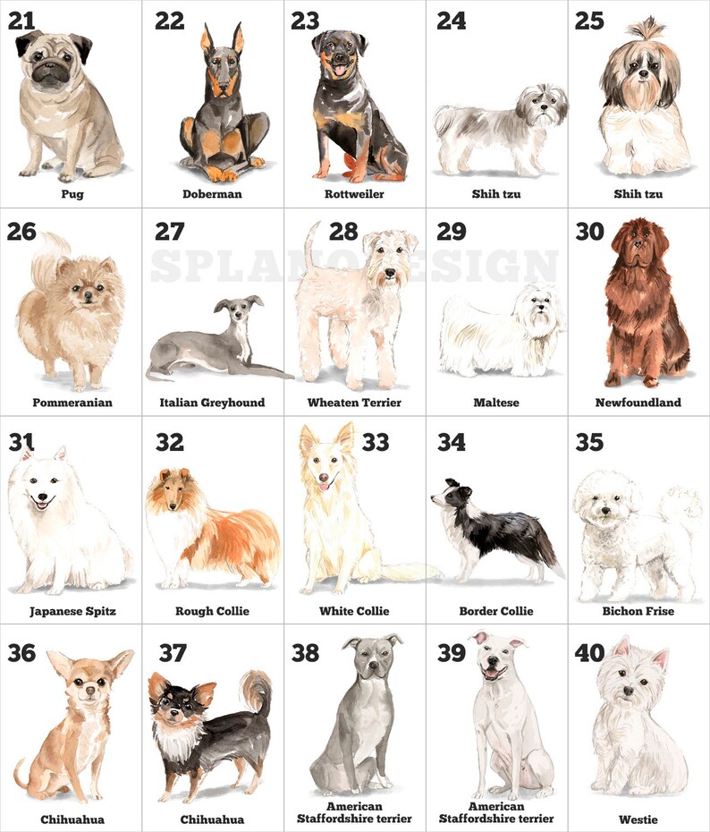 Pet Loss Gift Dog With Flowers Pet Memorial Gift Etsy