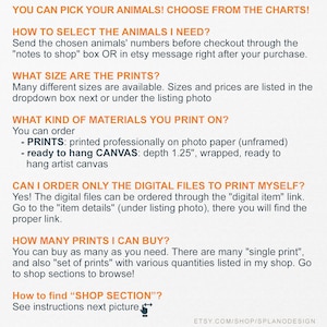K&ouml;nnte beinhalten: Ein textbasierter Leitfaden zum Bestellen von Tierdrucken in einem Etsy-Shop. Der Leitfaden erkl&auml;rt, wie man die Tiere ausw&auml;hlt, die Gr&ouml;&szlig;e und das Material des Drucks w&auml;hlt und digitale Dateien zum Drucken bestellt. Er enth&auml;lt auch Informationen dar&uuml;ber, wie man die "Shop Section" des Shops findet.