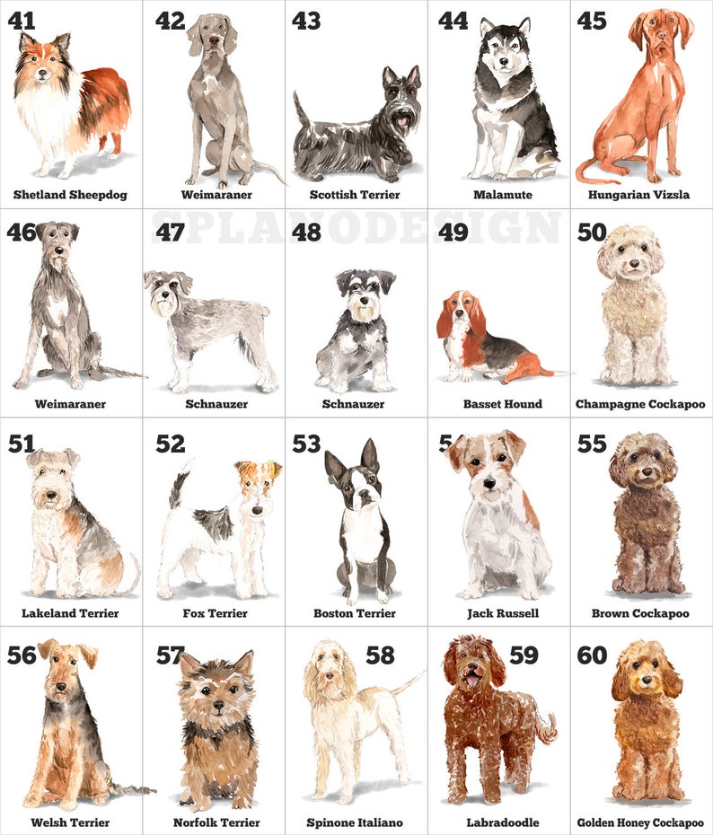 Pet Loss Gift Dog With Flowers Pet Memorial Gift Etsy