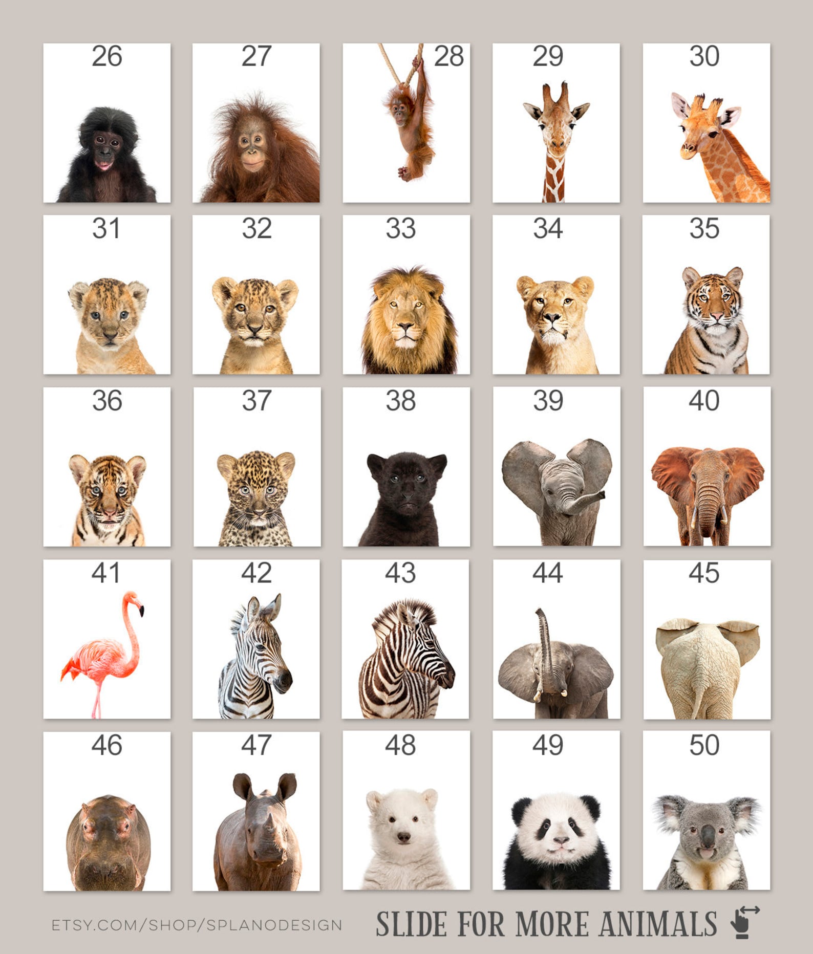 Baby Safari Animal Prints for Nursery Zoo Animals Nursery Etsy