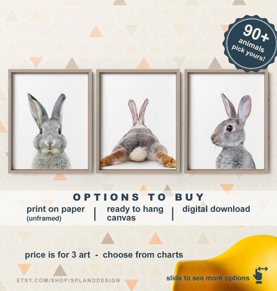 Bunny Nursery Decor Set of 3, Bunnies Nursery, Rabbit Nursery Art, Bunny Room Decor, Bunny Nursery Wall Art Canvas, Bunny Butt Print