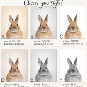 K&ouml;nnte beinhalten: Sechs verschiedene Stile einer Hasenillustration. Die erste Reihe zeigt den Hasen in Farbe mit einem beige, grau und wei&szlig;en Hintergrund. Die zweite Reihe zeigt den Hasen in Sepia, Schwarzwei&szlig; mit grauem Hintergrund und Schwarzwei&szlig; mit wei&szlig;em Hintergrund.