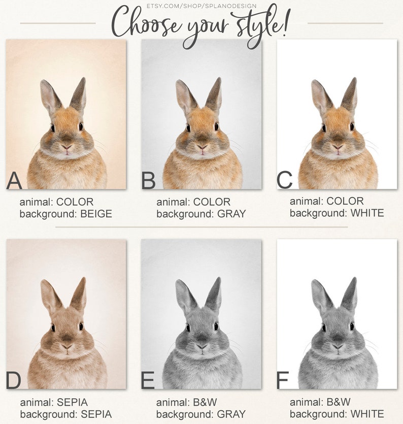 K&ouml;nnte beinhalten: Sechs verschiedene Stile einer Hasenillustration. Die erste Reihe zeigt den Hasen in Farbe mit einem beige, grau und wei&szlig;en Hintergrund. Die zweite Reihe zeigt den Hasen in Sepia, Schwarzwei&szlig; mit grauem Hintergrund und Schwarzwei&szlig; mit wei&szlig;em Hintergrund.