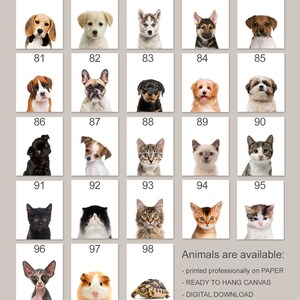 K&ouml;nnte beinhalten: Ein Raster mit 25 Bildern, die verschiedene Tiere zeigen, darunter Hunde, Katzen, ein Meerschweinchen, eine Schildkr&ouml;te und eine Sphinxkatze. Die Bilder sind von 76 bis 98 nummeriert. Der Text "Animals are available: - printed professionally on PAPER - READY TO HANG CANVAS - DIGITAL DOWNLOAD" befindet sich am unteren Rand des Rasters. Der Text "SLIDE FOR MORE INFOS" befindet sich am unteren Rand des Rasters mit einem Pfeil, der nach rechts zeigt.