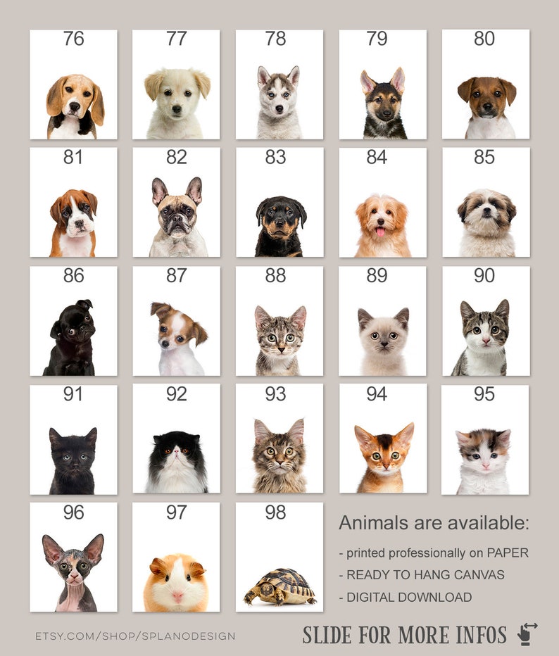 K&ouml;nnte beinhalten: Ein Raster mit 25 Bildern, die verschiedene Tiere zeigen, darunter Hunde, Katzen, ein Meerschweinchen, eine Schildkr&ouml;te und eine Sphinxkatze. Die Bilder sind von 76 bis 98 nummeriert. Der Text "Animals are available: - printed professionally on PAPER - READY TO HANG CANVAS - DIGITAL DOWNLOAD" befindet sich am unteren Rand des Rasters. Der Text "SLIDE FOR MORE INFOS" befindet sich am unteren Rand des Rasters mit einem Pfeil, der nach rechts zeigt.