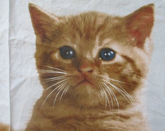 Cat Fabric, Kittens Fabric, Adorable Kittens In A Box, Quilting Fabric Panel, Large Kittens Fabric Panel, Crafting Cotton Fabric,Cat/Kittens