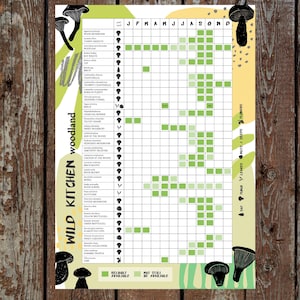 A3-poster voor bosfoerageren // Foragerskalender // Seizoenskaart met Britse seizoensschimmels