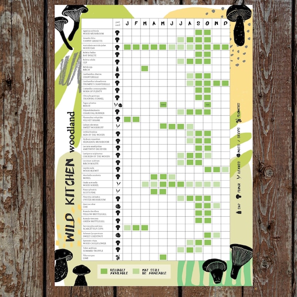 Woodland Foraging Poster // Forager Kalender // Saisonkalender der Pilze