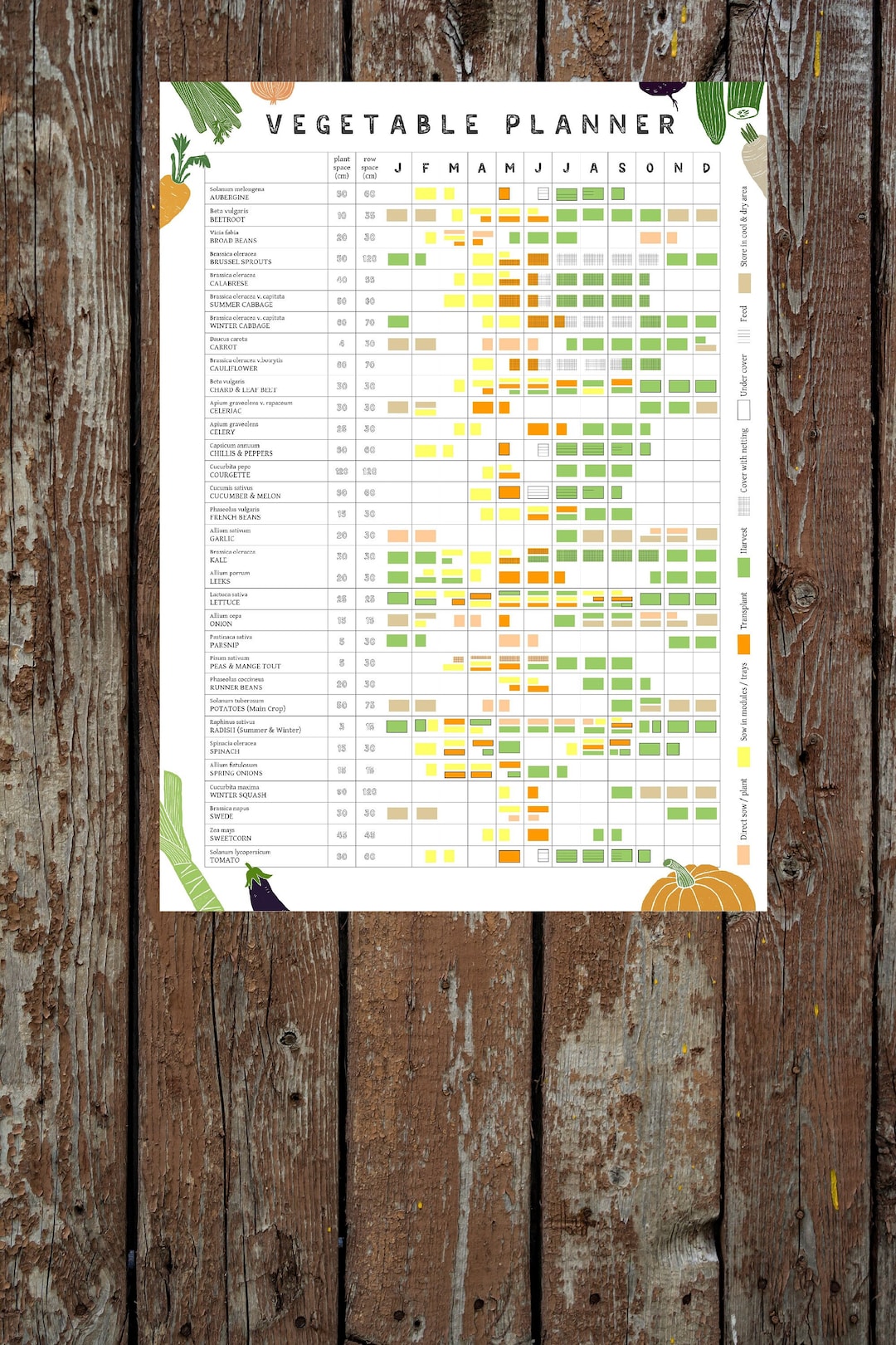 a3-annual-vegetable-growing-planner-allotment-and-garden-calendar-planting-and-harvesting-year-poster-etsy