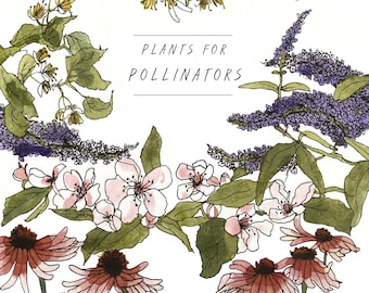 Calendrier plantes pour pollinisateurs // Calendrier d'anniversaires et d'anniversaires A4 // Calendrier botanique et insectes illustrés