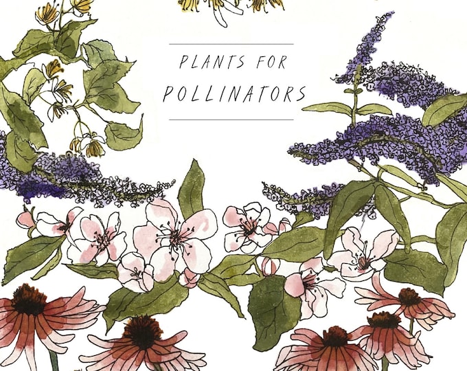 Plants for Pollinators Calendar // A4 Birthdays and Anniversaries Calendar // Illustrated Botanical and Insect Calendar