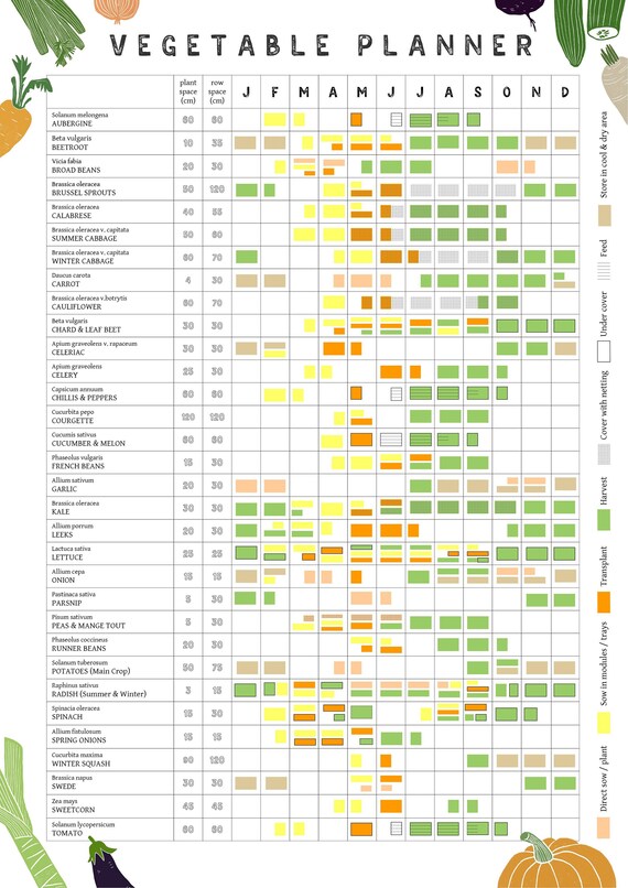 A3 Annual Vegetable Growing Planner // Allotment and Garden Calendar // Planting and Harvesting Year Poster - Etsy A3 Annual Vegetable Growing Planner // Allotment and Garden Calendar // Planting and Harvesting Year Poster - Etsy