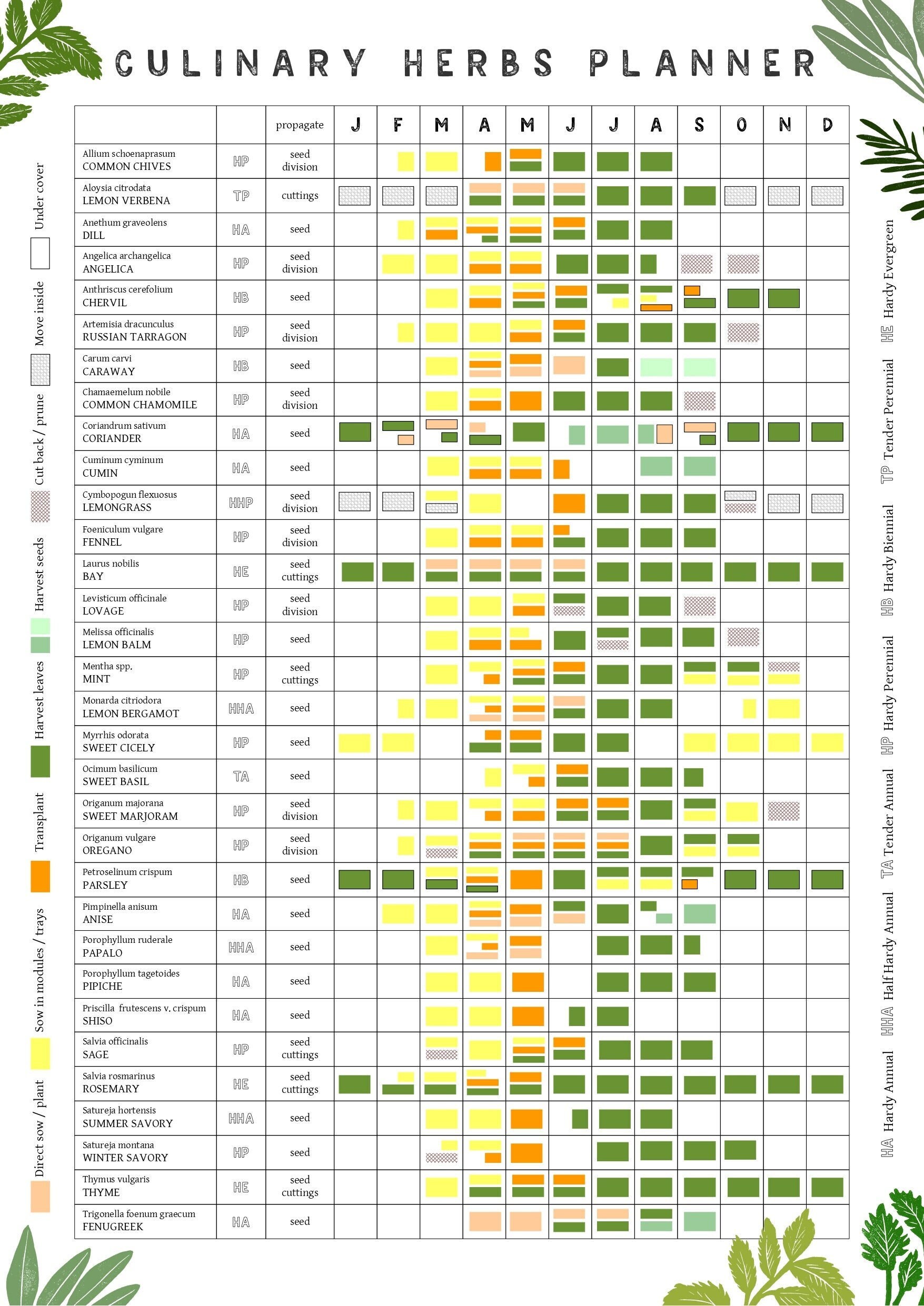 A3 Culinary Herbs Growing Planner // Allotment and Garden Calendar // Planting and Harvesting Year Poster - Etsy A3 Culinary Herbs Growing Planner // Allotment and Garden Calendar // Planting and Harvesting Year Poster - Etsy