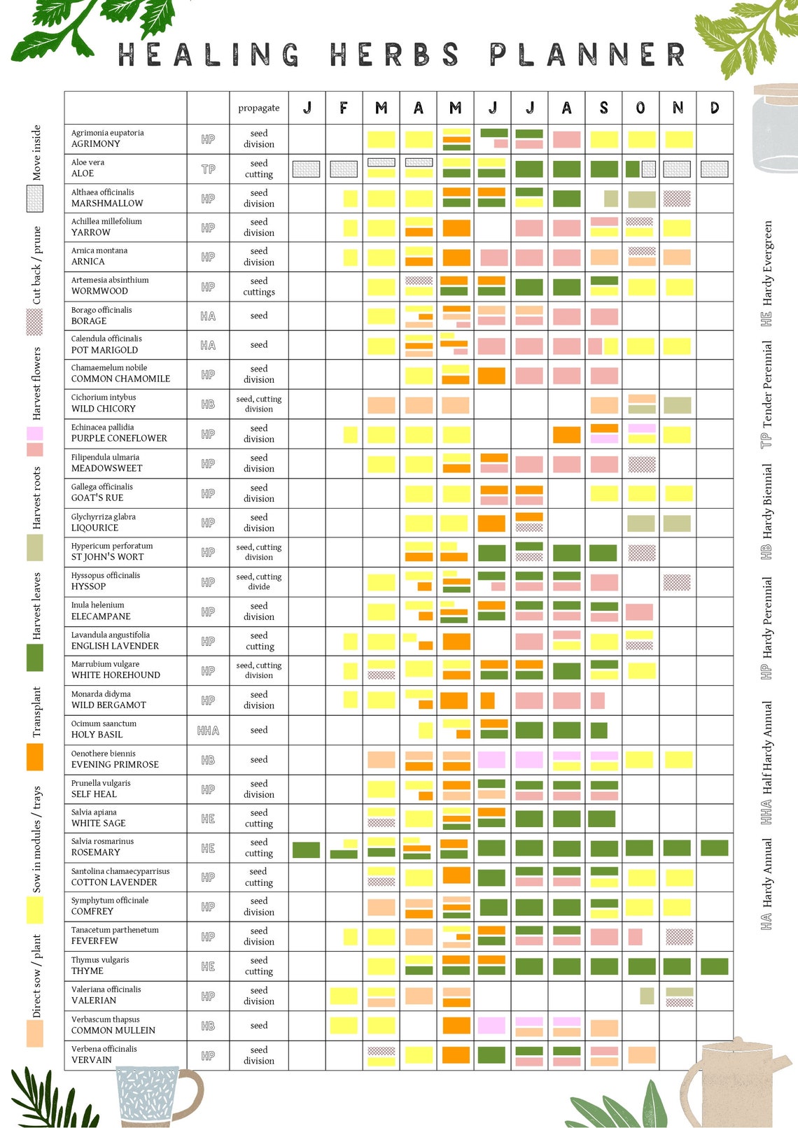 Medicinal Herbs Growing Planner // Allotment and Garden Calendar - Etsy