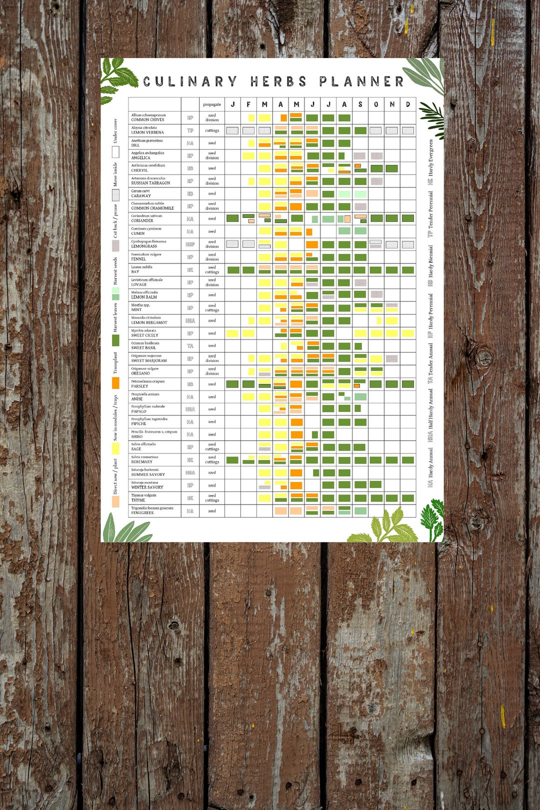 A3 Culinary Herbs Growing Planner // Allotment and Garden Calendar // Planting and Harvesting Year Poster - Etsy a3-culinary-herbs-growing-planner-allotment-and-garden-calendar-planting-and-harvesting-year-poster-etsy