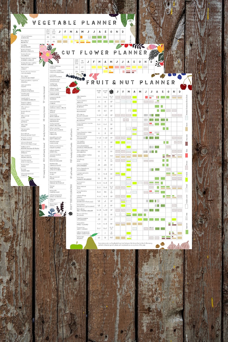 Garden Planner Set // Veg, Fruit, Herb & Flower Planting Guides - Etsy