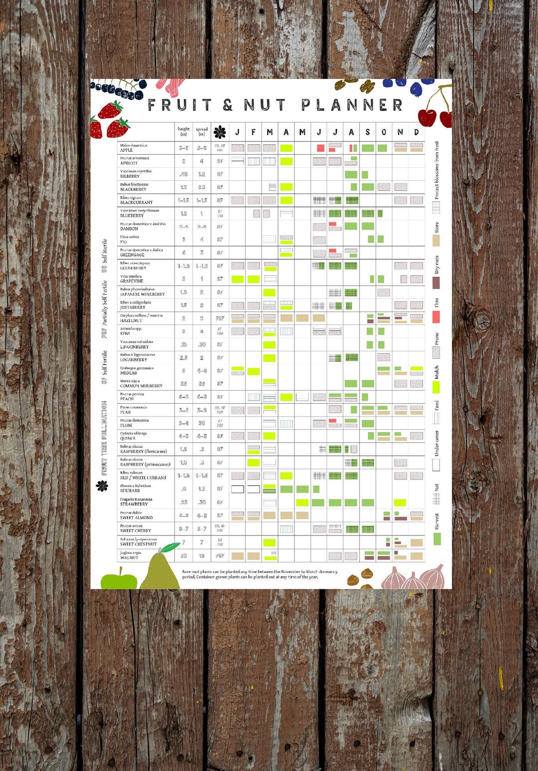 Fruit and Nut Growing Planner // Allotment and Garden Calendar - Etsy