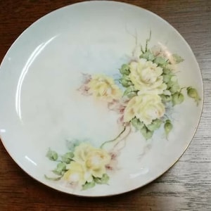 Antique Hutschenreuther Floral Plate-&quot;Josephine&quot;