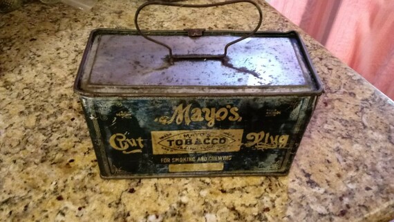 kentucky tobacco seeds KY 24 Tobacco