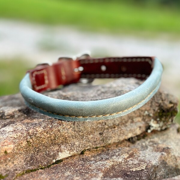 Turquoise Dog Collar - Etsy