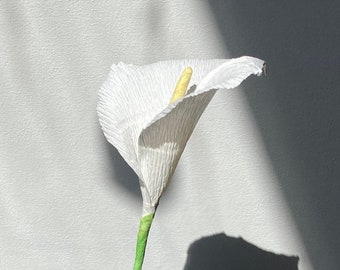 Calla Lily