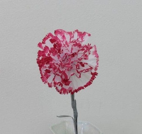 DMC 107 Variegated Embroidery Floss Red Carnation Shaded Ombre 