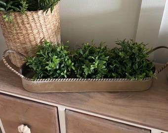 Antique Gold Rope Trim Tray with 3 Lemon Beauty Balls, Year Round Greenery Home Decor