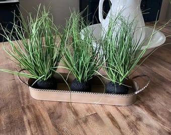 Antique Gold Rope Trim Tray with Set of 3 Wild Onion Bulbs, Home Decor for Spring and Summer, Home or Office Decor