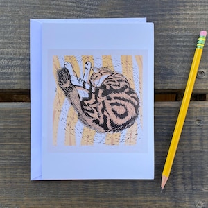 Striped Cat / Maine Coon Cat / Maine Printmaker Holly Meade