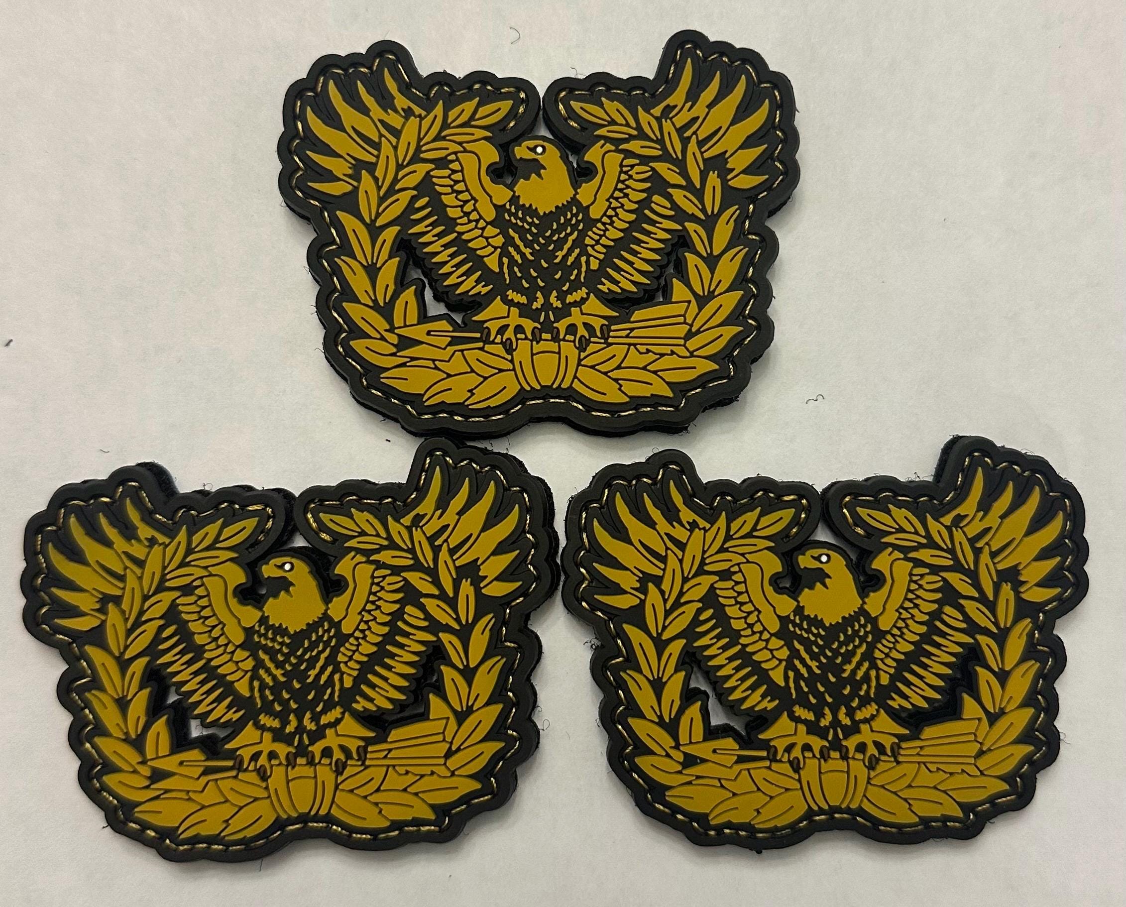 Warrant Officer Eagle Rising 2.0 Esprit De Corp Morale Tactical Patch ...