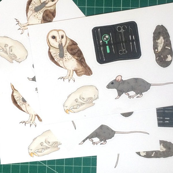 Owl pellet dissection stickers - 1 sheet of 5 stickers