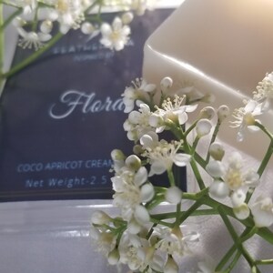 May include: A bar of light-colored soap and a package of Coco Apricot Cream are surrounded by white flowers. The package has the word "Flora" in cursive and the text "Net Weight-2.5 oz."